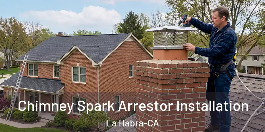  Chimney Spark Arrestor Installation La Habra-CA